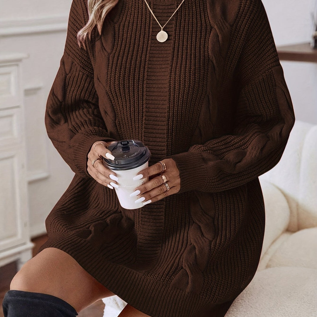 Alecia | Woven Texture Turtleneck Sweater Dress
