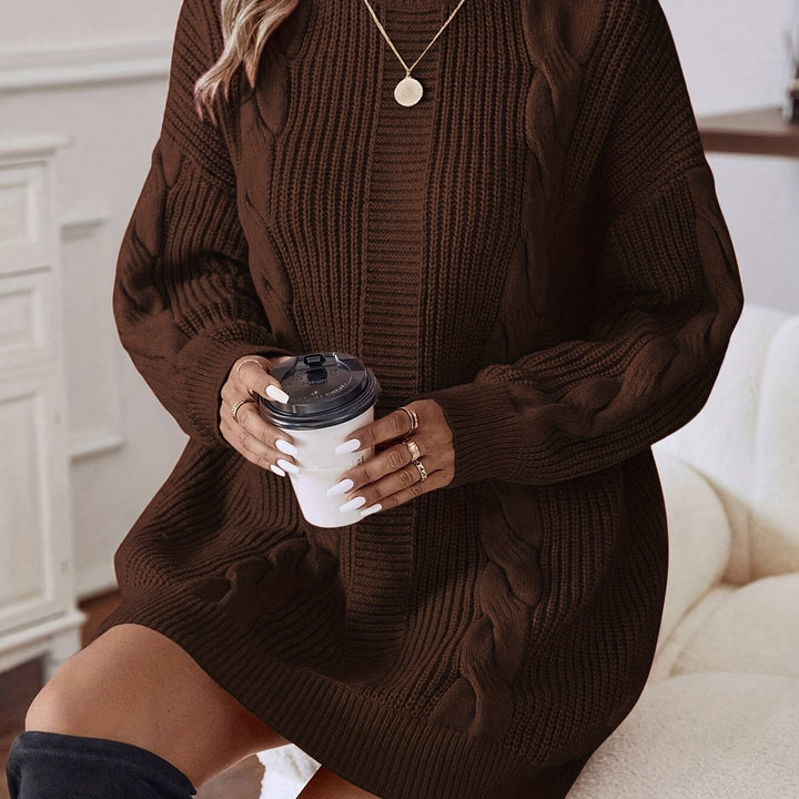 Alecia | Woven Texture Turtleneck Sweater Dress