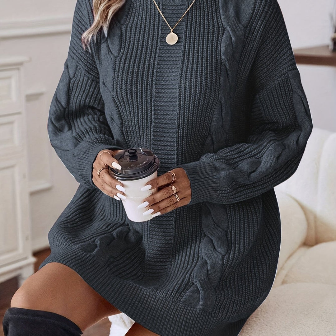 Alecia | Woven Texture Turtleneck Sweater Dress