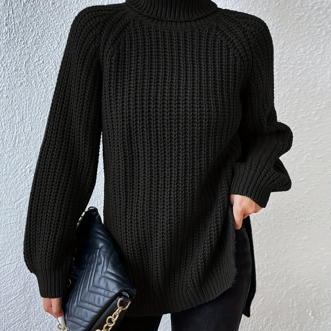 Renea | High Collar Raglan Sleeve Sweater