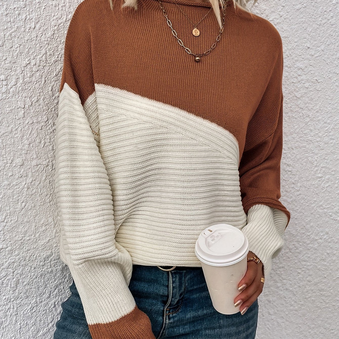 Sharice | Two Colord Drop Shoulder Sweater